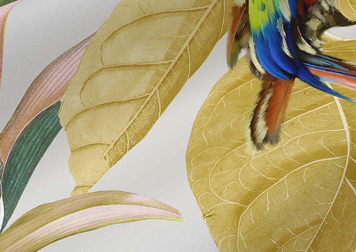 Parrot, Citrine - Roller Blind - Image 4